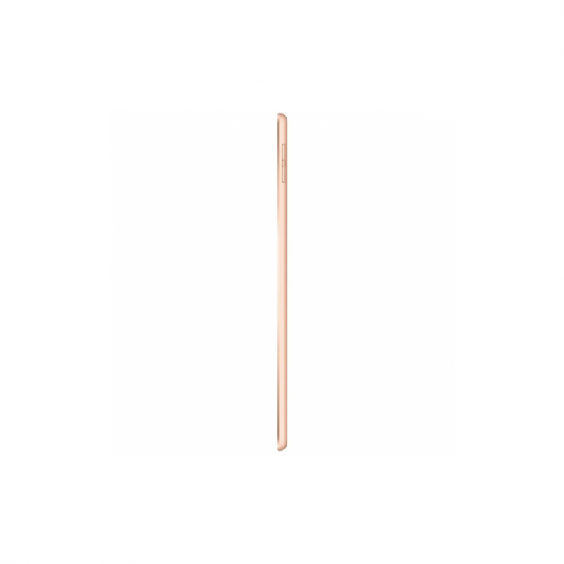 iPad mini 5 (2019) 4G 64GB Gold, фото 6