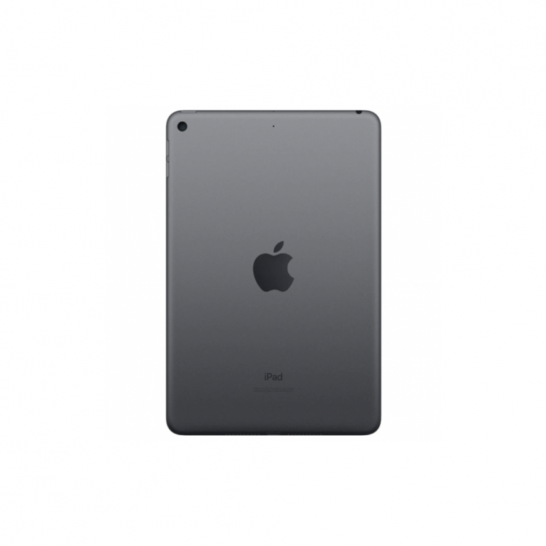 iPad mini 5 (2019) 4G 64GB Space Gray, фото 5