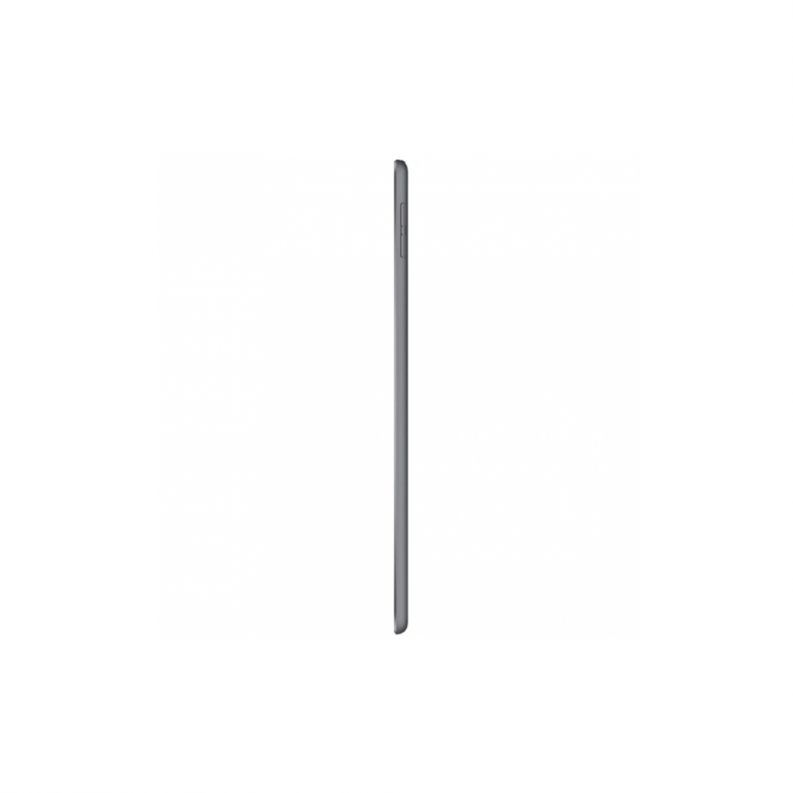 iPad mini 5 (2019) 4G 64GB Space Gray, фото 6