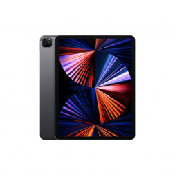 iPad Pro 11 M1 (2021) 2TB 4G Space Gray