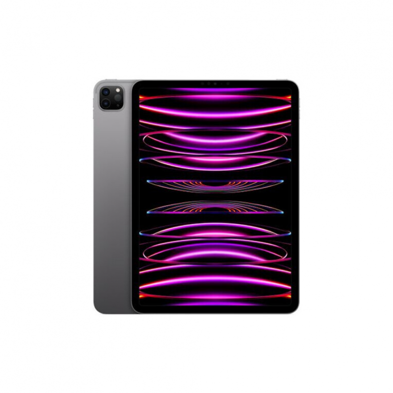 iPad Pro 11 M2 (2022) Wi-Fi+LTE 2TB Space Gray