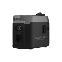 EcoFlow Smart Generator Dual Fuel (GasEBDUAL-EU)