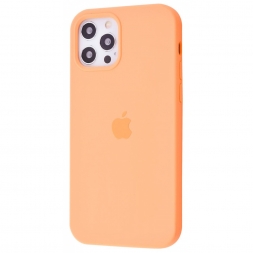 Чохол Silicone Case Full Cover iPhone 12/12 Pro