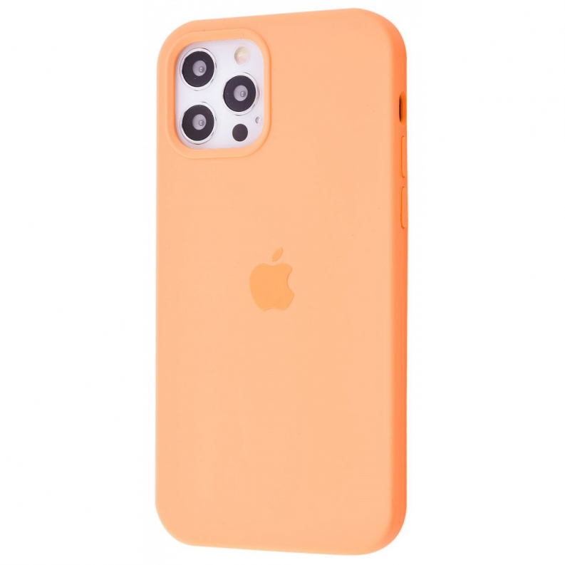 Чохол Silicone Case Full Cover iPhone 12/12 Pro