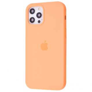 Чохол Silicone Case Full Cover iPhone 12 Pro Max