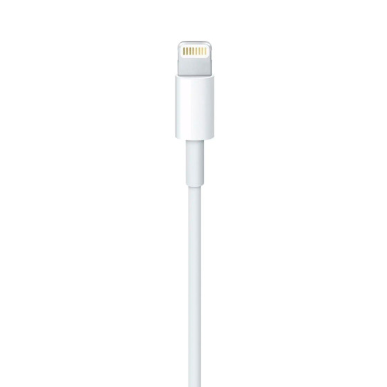 Apple USB-C to Lightning Cable 2m (MKQ42) no box