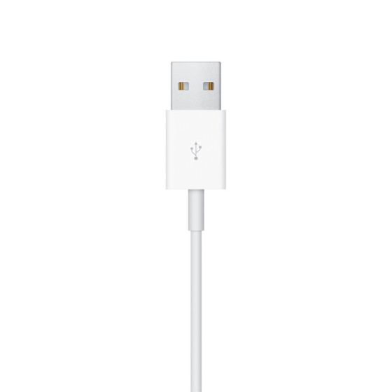 Apple Watch Magnetic Charging Cable [2m] (MJVX2/MU9H2)