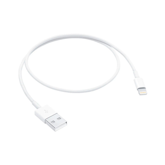 Apple Lightning to USB Cable [0.5 m] (ME291)