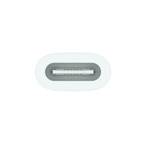 Адаптер USB-C to Apple Pencil Adapter (MQLU3)