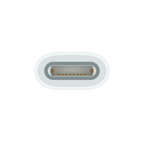Адаптер USB-C to Apple Pencil Adapter (MQLU3)