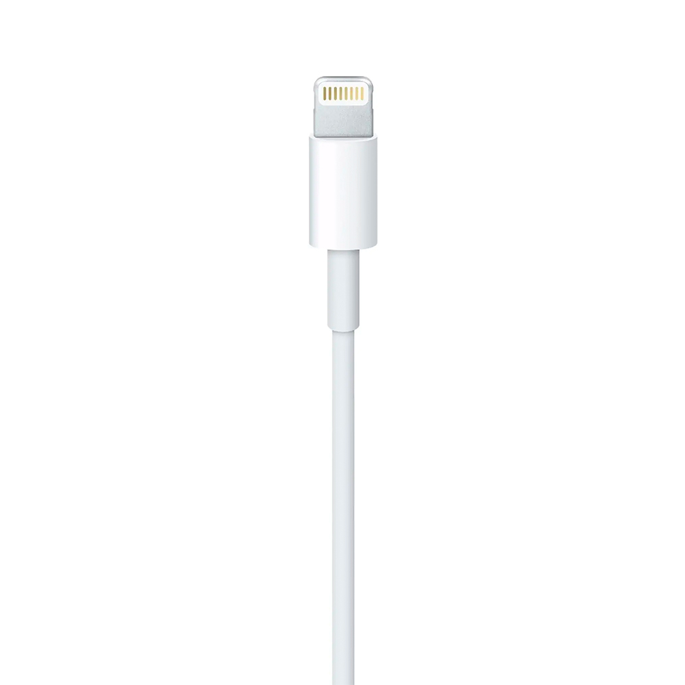 Apple Lightning to USB Cable (MXLY2)