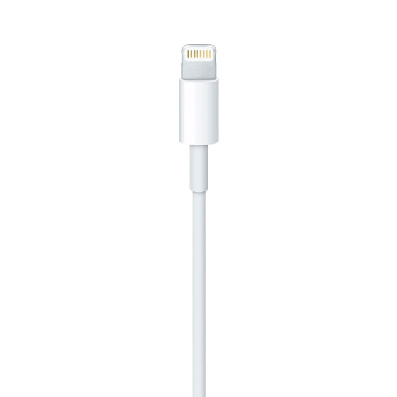 Apple Lightning to USB Cable (MXLY2)