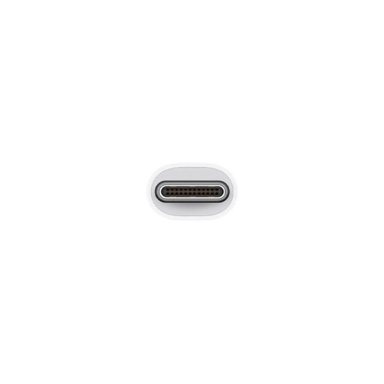 Apple USB-C Adapter -> [USB, HDMI, USB-C] (MUF82)