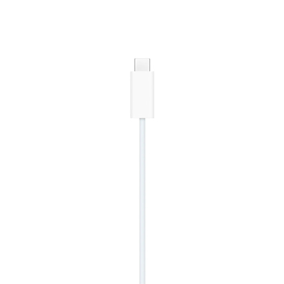 Apple Watch Magnetic Fast Charger to USB-C Cable [1m] (MT0H3) - плетенка