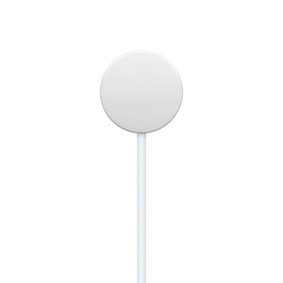 Apple Watch Magnetic Fast Charger to USB-C Cable [1m] (MT0H3) - плетенка