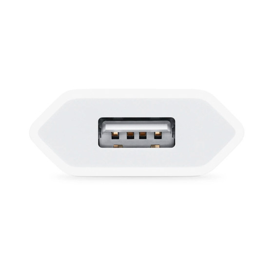 Apple 5W USB Power Adapter A2118 (MGN13)