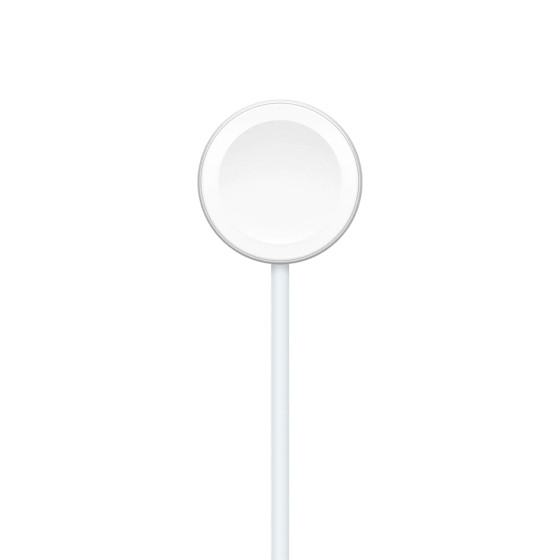 Apple Watch Magnetic Fast Charger to USB-C Cable [1m] (MT0H3) - плетенка