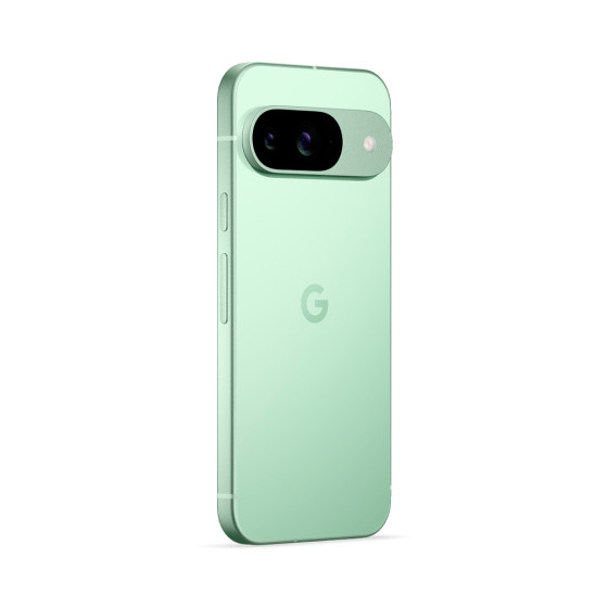 Google Pixel 9 12/256GB Wintergreen