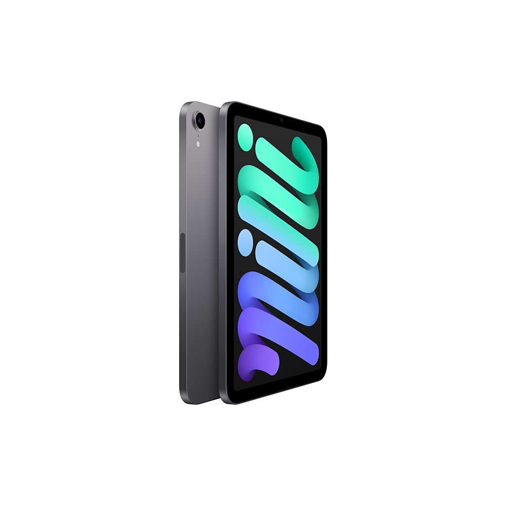 iPad mini 6 (2021) 4G 256GB Space Gray