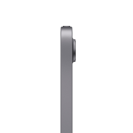 iPad mini 6 (2021) 4G 256GB Space Gray