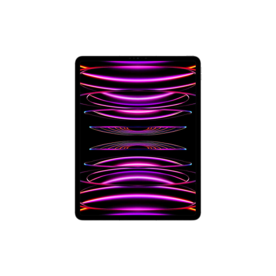 iPad Pro 12.9 M2 (2022) Wi-Fi+LTE 256GB Space Gray