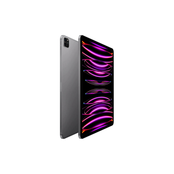 iPad Pro 12.9 M2 (2022) Wi-Fi+LTE 256GB Space Gray