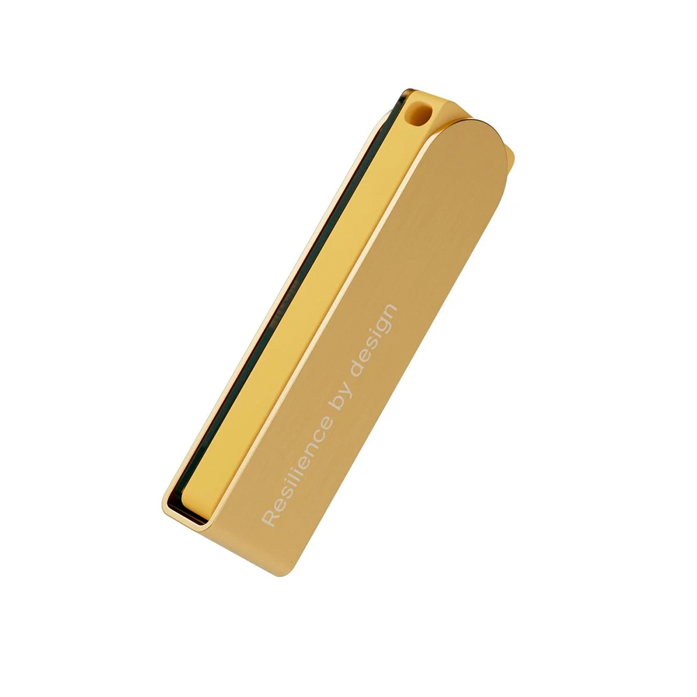 Ledger Nano X Gold