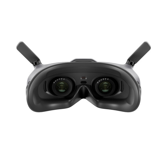 DJI Goggles 2 Motion Combo (CP.FP.00000120.01)