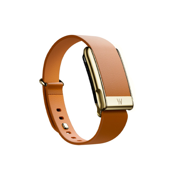 WHOOP LeatherLuxe Tapered Band | Camel with Gold - Size S для WHOOP MG (810114362259)