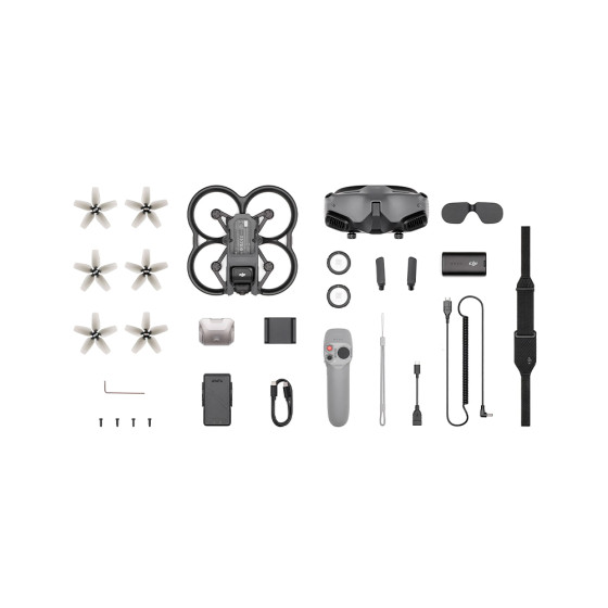 Квадрокоптер DJI Avata Pro View Combo with Goggles 2 and Motion Controller (CP.FP.00000110.01,CP.FP.00000115.01)